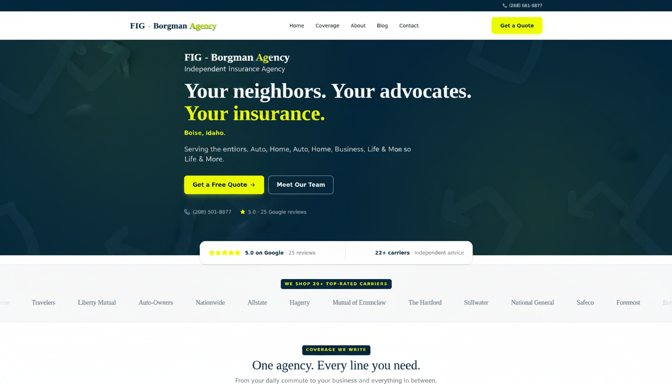 Borgman Agency cover