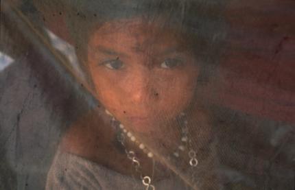 A child protected by a mosquito net in the Amazon