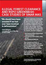 RSPO greenwash - report cover