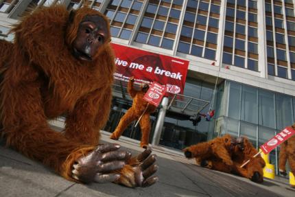 Orang-utans protest outside Nestle offices in Croydon