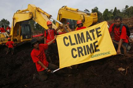 Kampar logging action 2