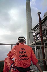A Greenpeace volunteer at Munmorah coal power station in New South Wales, Australia