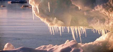 Frozen droplets coming down from antartic ice