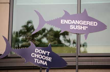 Don't choose tuna