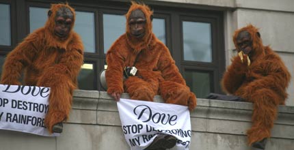 Greenpeace volunteers dressed as orang-utans outside Unliever's London HQ