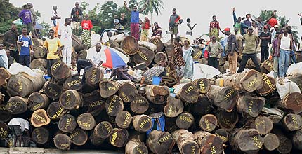 A crowd of people standing on a large pile of felled tree trunks