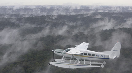 A Greenpeace plane flies over the Amazon rainforest