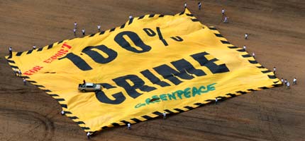 Greenpeace protesters unfurl a 2,500 metre square banner in an area of illegally cleared Amazon rainforest - the farmer's car is parked in the middle