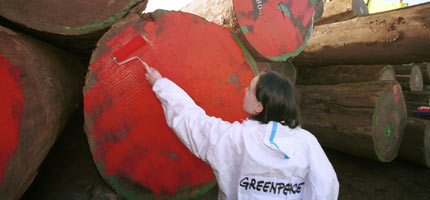 Timber from one of Kouwenhoven's companies is marked by Greenpeace in the Netherlands in 2001