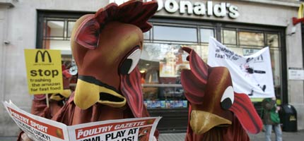 Its a cluckin spectacle at McDonalds across the country this morning as Greenpeace volunteers expose McDonalds role in Amazon destruction
