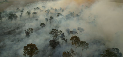 A forest fire in the Amazon rainforest