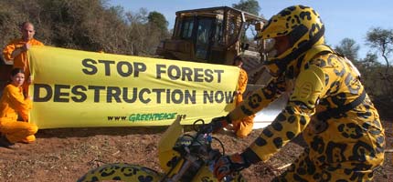 Greenpeace activists dressed as 'jaguars' use chains to immobilise the bulldozers that have been destroying Yungas forest