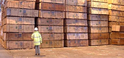 Timber at Tilbury Docks