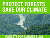 Forests for Climate blog