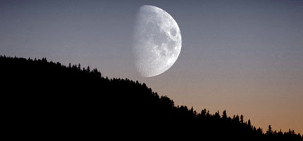 The moon rising over an Alaskan forest