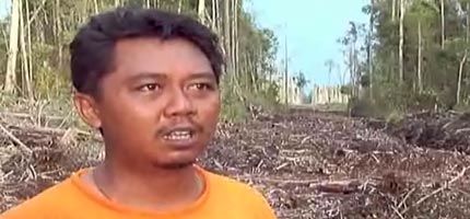 Greenpeace campaigner Hapsoro shows how palm oil plantations are destroying Indonesia's rainforest