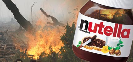 Palm oil, an ingredient in Nutella, is responsible for the destruction of rainforests in south-east Asia