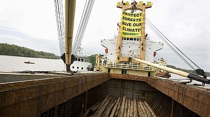 A banner hangs from the Harbour Gemini which is carrying illegal timber from Papua New Guinea