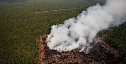 Fire burns through forest in Sumatra, clearing the area for plantations &copy; Greenpeace/Novis