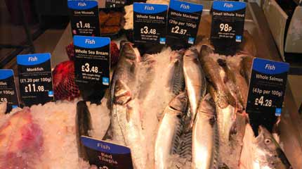 How sustainable are the fish your supermarket is selling?