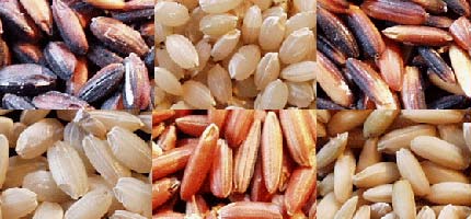 A selection of different rice varieties