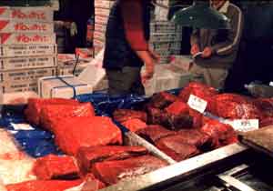 Whale meat for sale in a market