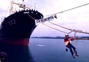 Greenpeace protest to stop whaling