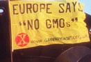 Greenpeace - taking action against GM