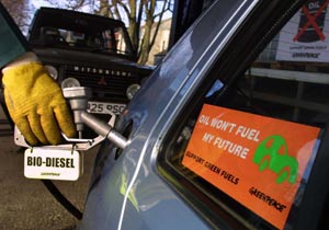 Bio-diesel: green fuel we can use today