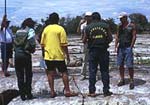 Illegal logging in the Amazon