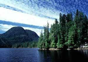 Great Bear Rainforest, British Columbia