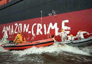 Greenpeace volunteers board the MV Enif to stop criminal timber imports