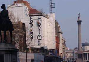 Cabinet office: forest crime banner