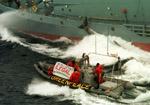 Greenpeace - direct action to protect whales