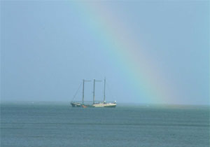 rainbow warrior at sea