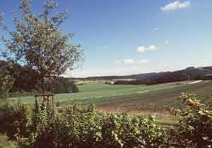 Organic farming fields