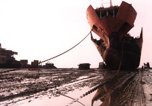 Shipbreaking threatens beaches worldwide