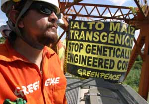 Greenpeace volunteers stop a train full of GM maize in its tracks