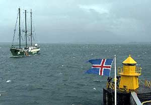 The SV Rainbow Warrior arrives in Iceland, September 2003