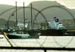 The Rainbow Warrior blocks a ship carrying GM soya in Port Kembla