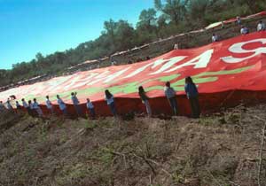 In Argentina, activists and farmers demand an end to forest destruction for soy planting