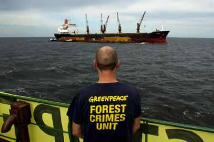 Tracking illegally logged rainforst timber leaving Indonesia