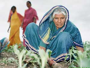 Traditional farming in India
