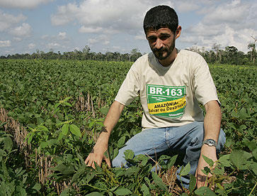 A Greenpeace campaigner examines a soya field carved out of the Amazon rainforest