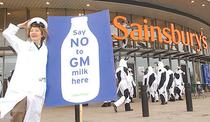 Greenpeace 'cows' invade Sainsbury's flagship store in London