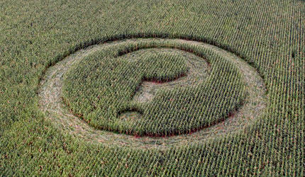 A crop circle in the shape of a question mark adorns a field of GM maize in Mexico