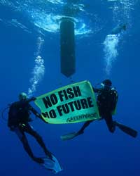 No fish no future