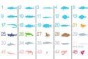 ocean species guide