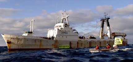 September 2005: Greenpeace activists disrupt the IUU fishing activities of the factory trawler 'Murtosa' in the Barents Sea