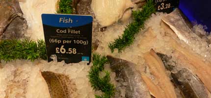 all sainsbury's fresh cod will be line-caught from May 2007